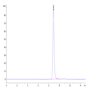 Human HLA-A*02