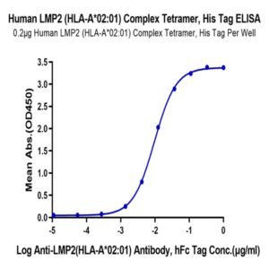 Human HLA-A*02