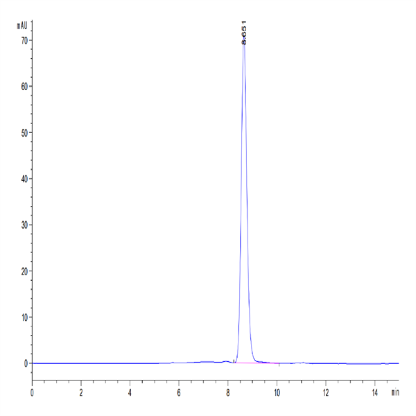 Human HLA-A*02 Human HLA-A*02
