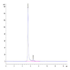 Human HLA-A*02