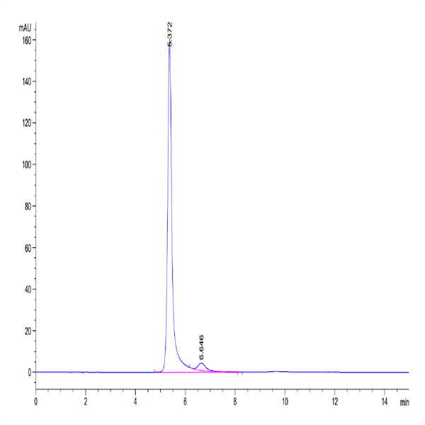Human HLA-A*02 Human HLA-A*02