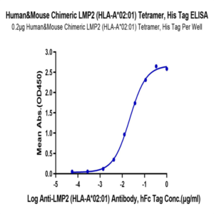 Chimeric HLA-A*02