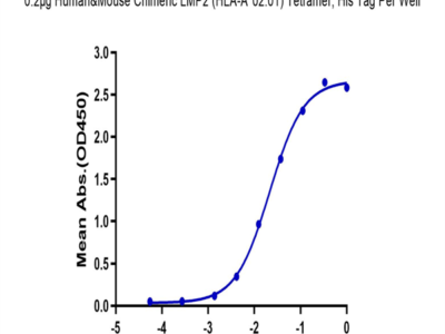 Chimeric HLA-A*02