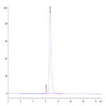 Chimeric HLA-A*02