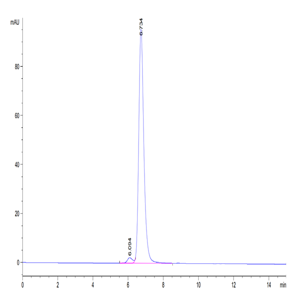 Chimeric HLA-A*02