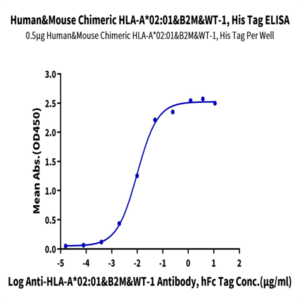 Chimeric HLA-A*02