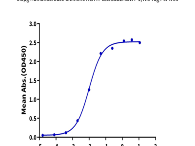 Chimeric HLA-A*02