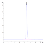 Chimeric HLA-A*02