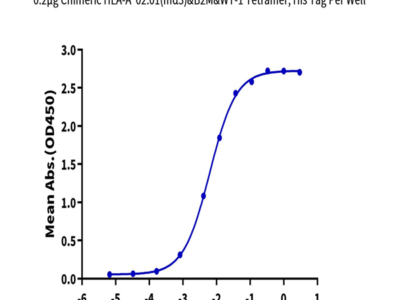 Chimeric HLA-A*02