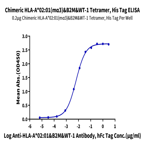Chimeric HLA-A*02 Chimeric HLA-A*02