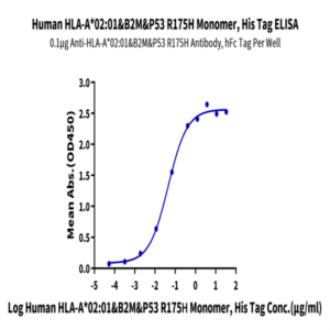 Human HLA-A*02