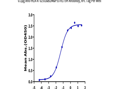 Human HLA-A*02