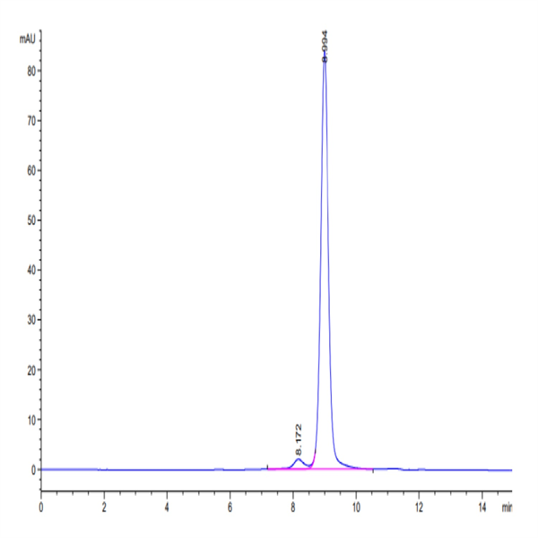 Biotinylated Human HLA-A*02