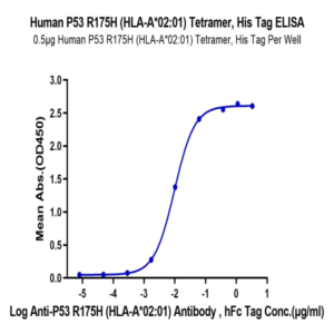 Human HLA-A*02