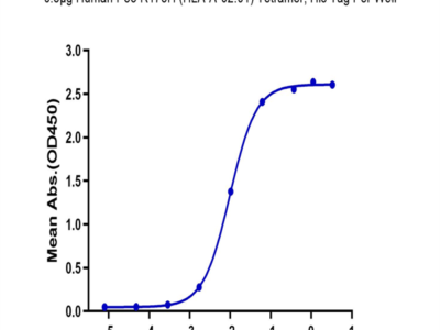 Human HLA-A*02