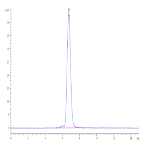 Human HLA-A*02