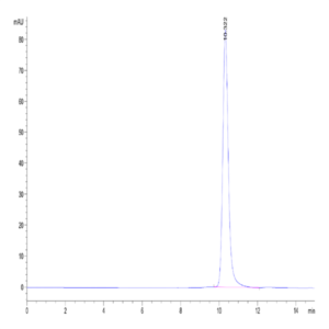 Biotinylated Human HLA-A*02