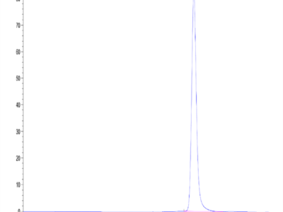 Biotinylated Human HLA-A*02