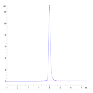 Human HLA-A*02
