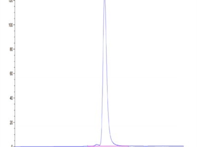 Human HLA-A*02