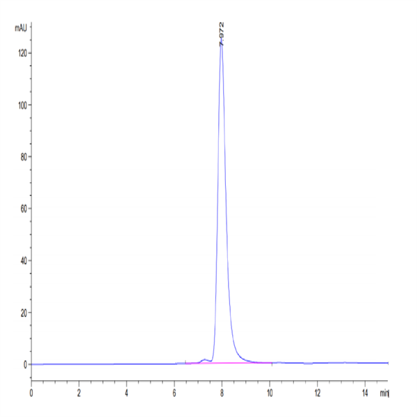 Human HLA-A*02