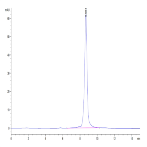 Human HLA-A*03