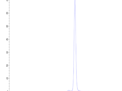 Human Peptide Ready HLA-A*11