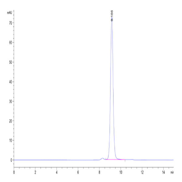 Human Peptide Ready HLA-A*11