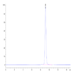 Biotinylated Human Peptide Ready HLA-A*11