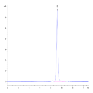 Biotinylated Human Peptide Ready HLA-A*11