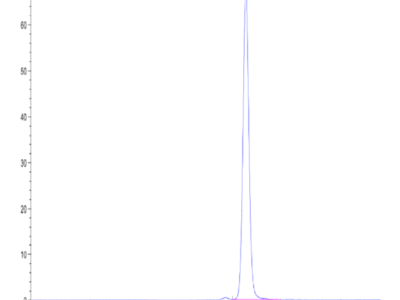 Biotinylated Human Peptide Ready HLA-A*11