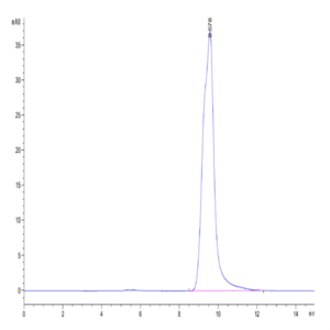 Human HLA-A*11
