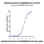 Biotinylated Human HLA-A*11