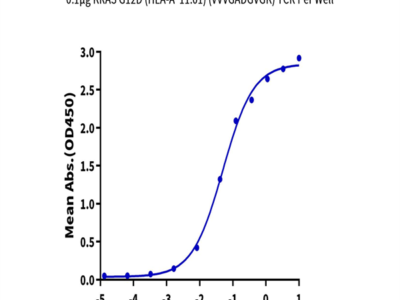 Human HLA-A*11