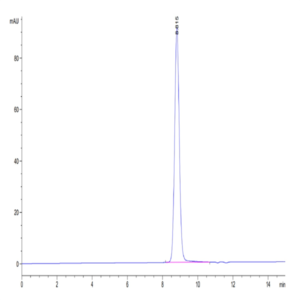 Human HLA-A*11