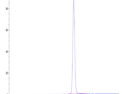 Human HLA-A*11