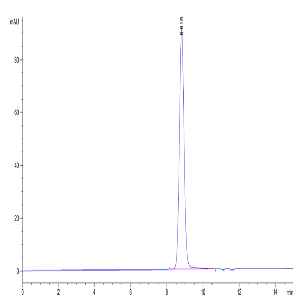 Human HLA-A*11