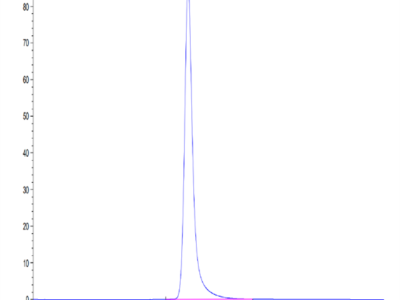 Biotinylated Human HLA-A*11