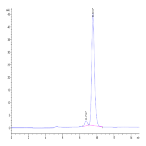 FITC-Labeled Human HLA-A*11