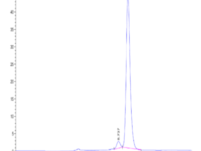 FITC-Labeled Human HLA-A*11