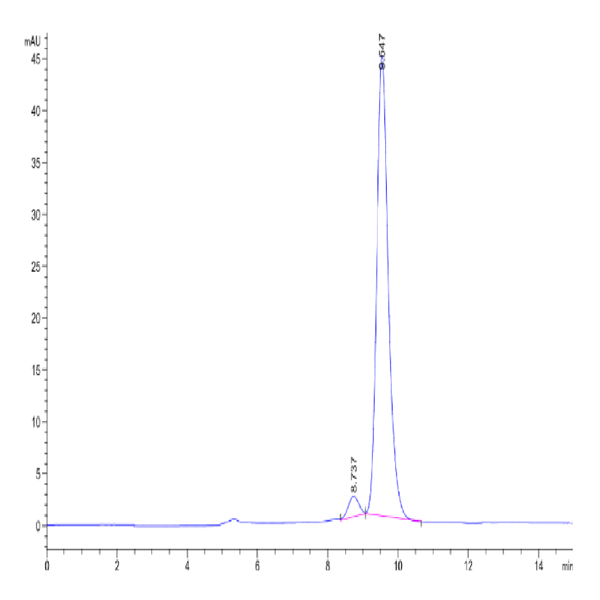 FITC-Labeled Human HLA-A*11