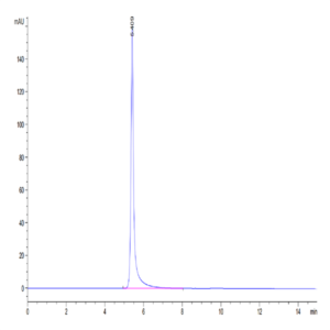 Human HLA-A*11