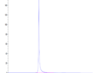 Human HLA-A*11