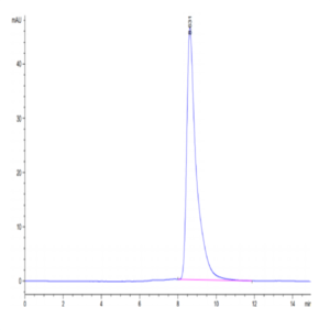 Human HLA-A*11
