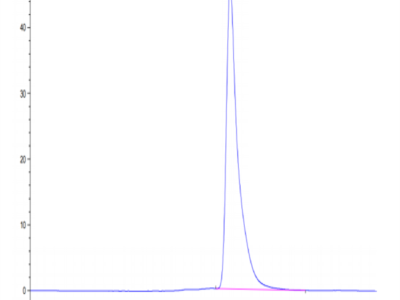 Human HLA-A*11