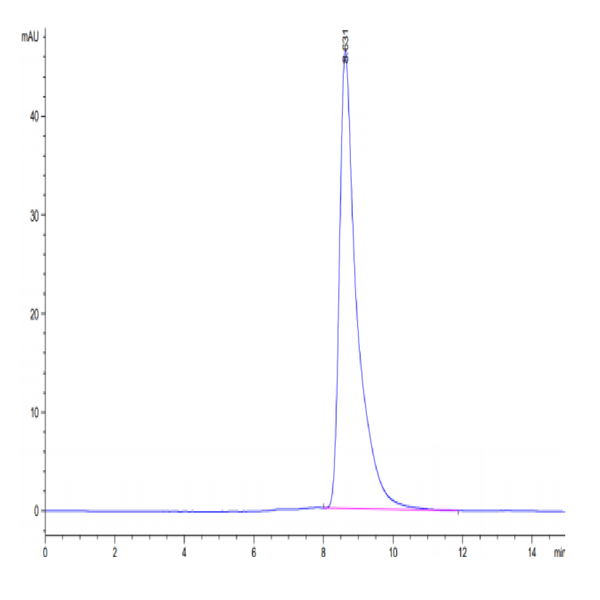 Human HLA-A*11 Human HLA-A*11