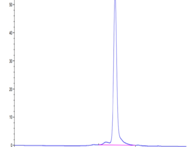 Biotinylated Human HLA-A*11