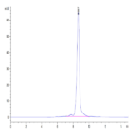 Human HLA-A*03