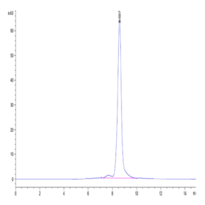 Human HLA-A*03