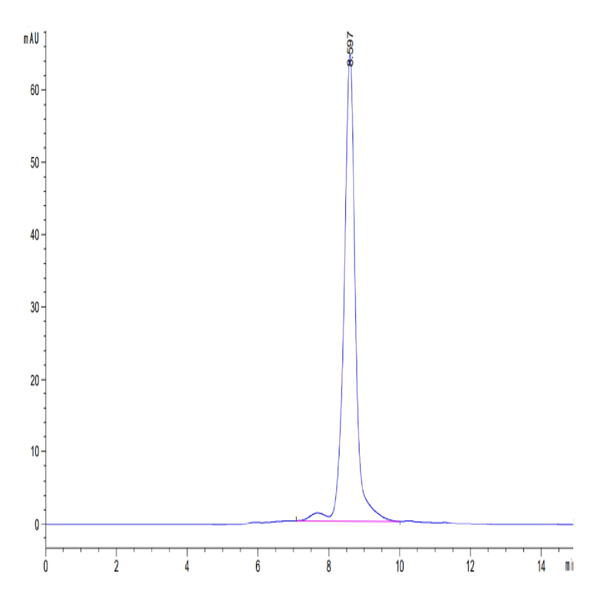 Human HLA-A*03